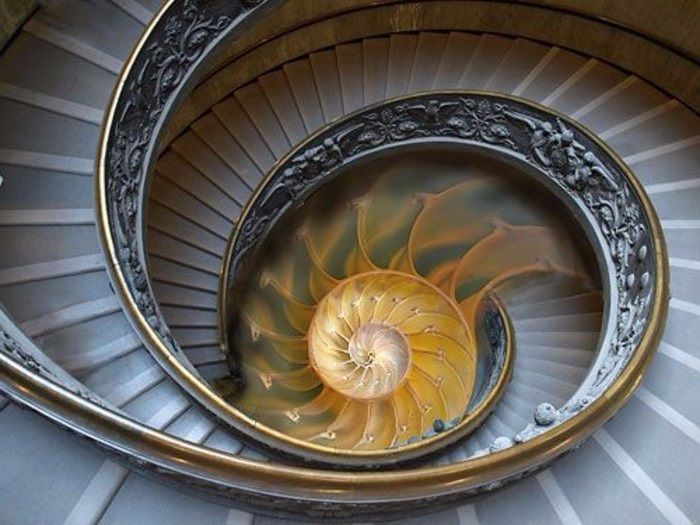 



La suite bluffante de Fibonacci